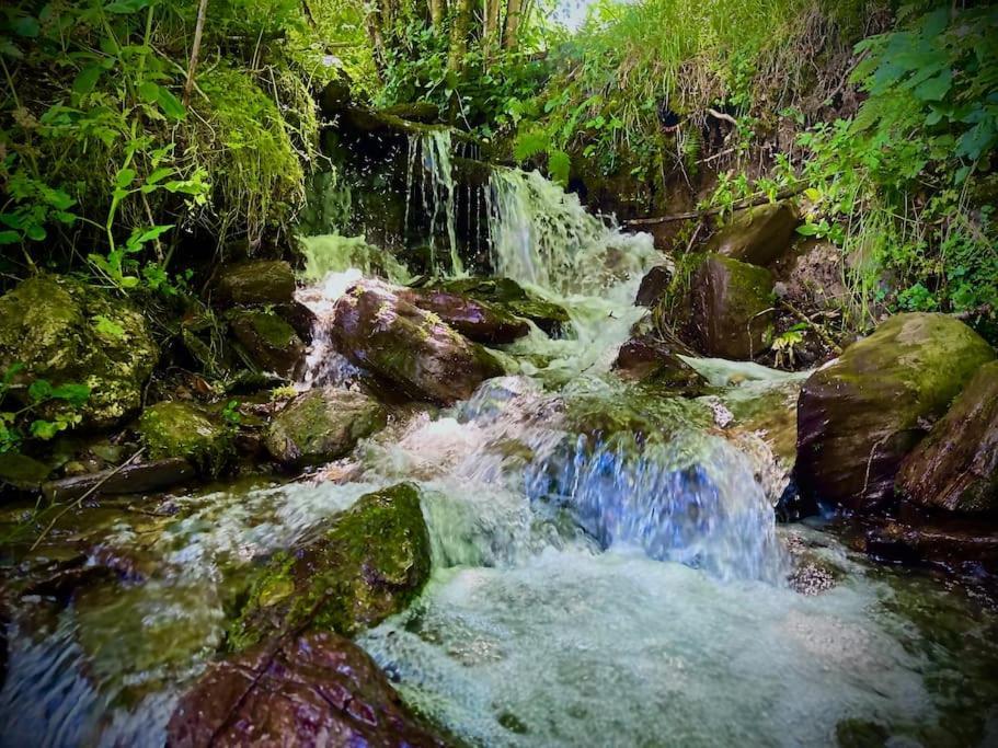 Bergerie De Lasariberes Gazost  Экстерьер фото